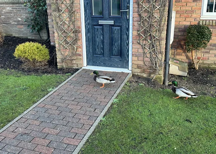 Willow - Part Of The The Bay Filey Village With Pool, Gym And Direct Access, Pub, Restaurant, Tennis And Meadows Walks Reighton