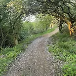 Willow - Part Of The The Bay Filey Village With Pool, Gym And Direct Access, Pub, Restaurant, Tennis And Meadows Walks Holiday home Reighton